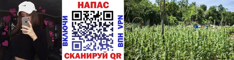 Магазин наркотиков Спасск-Дальний Каннабис Псилоцибиновые грибы Гашиш Амфетамин Меф Бутират Кокаин
