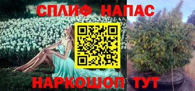 эйфоретик Пыть-Ях