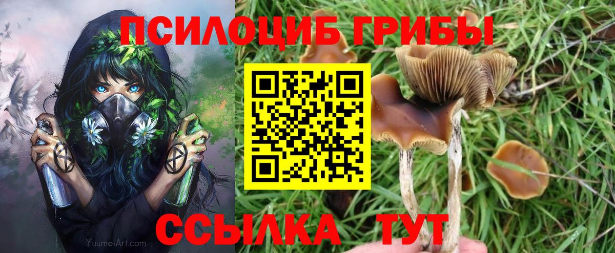 Псилоцибиновые грибы MAGIC MUSHROOMS Спасск-Дальний
