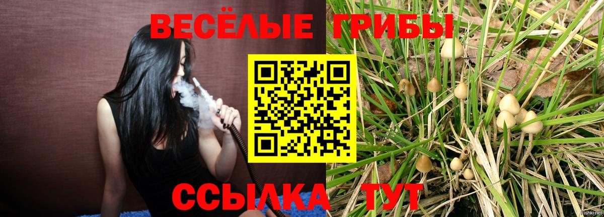 купить наркоту  Галлюциногенные грибы Psilocybine cubensis  Вход с VPN  Галлюциногенные грибы прущие грибы  Спасск-Дальний 